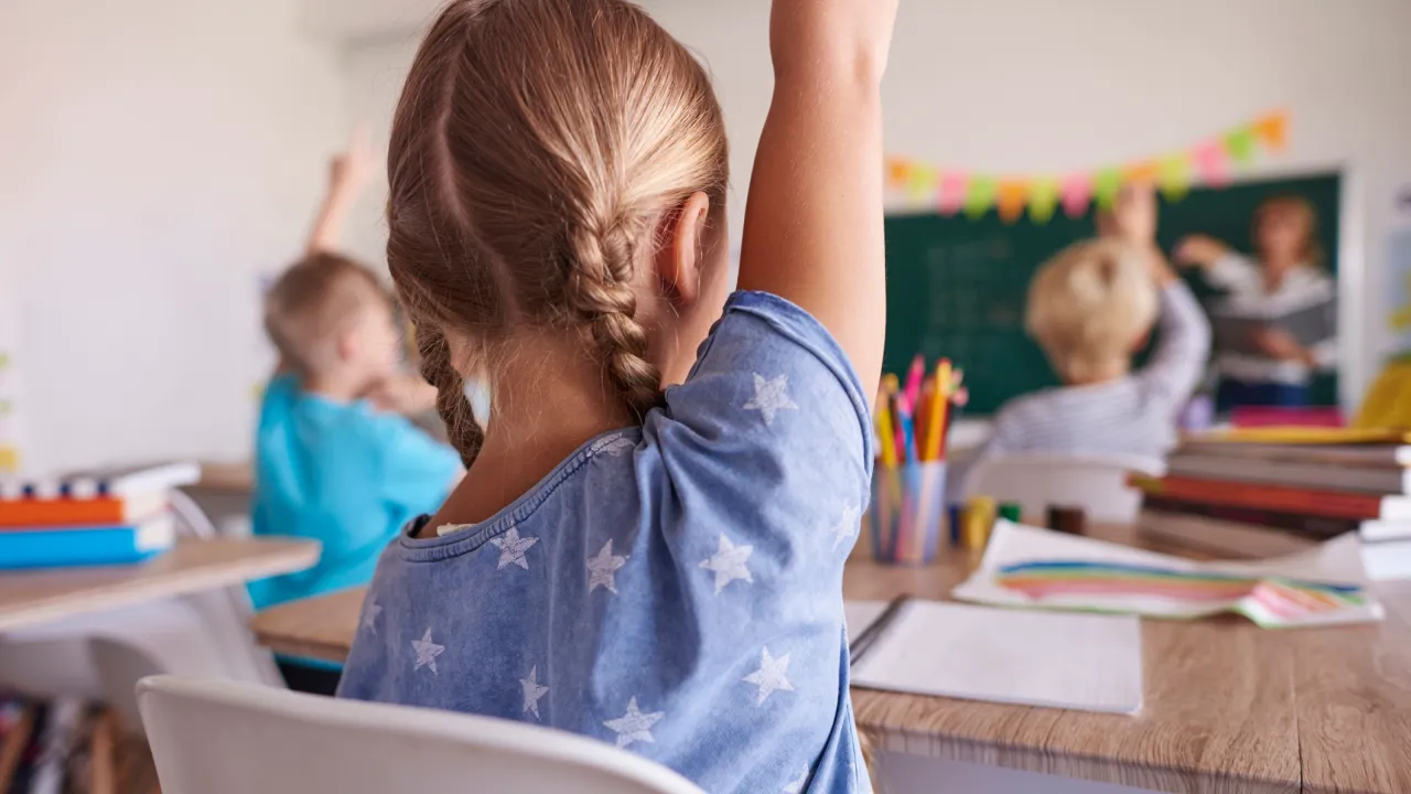 Understanding Behavioural Problems in School-Going Children